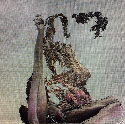 Interrupted 3D scan by artist Paul Coombs